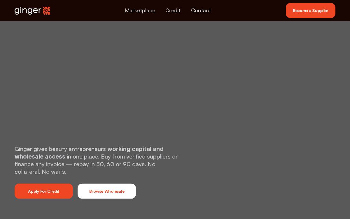 Gingerme website preview