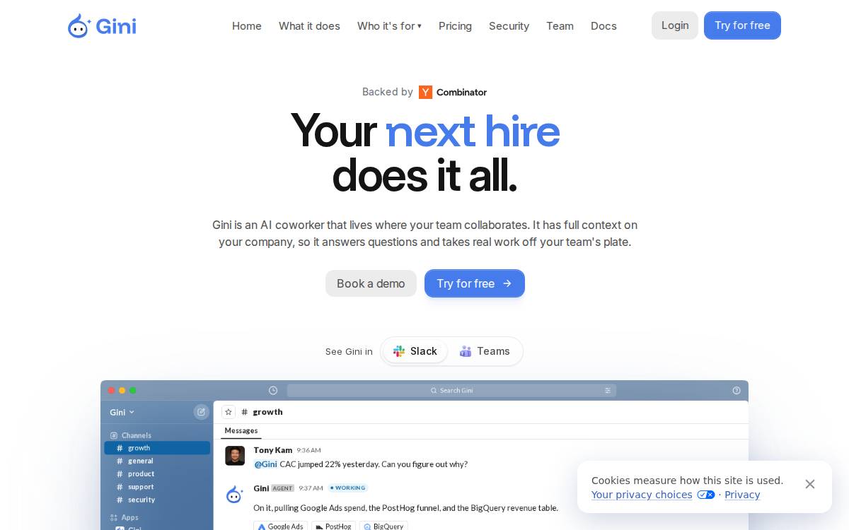 Gini website preview