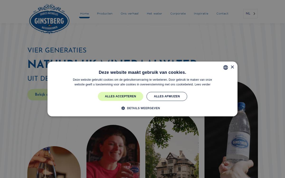 Ginstberg website preview