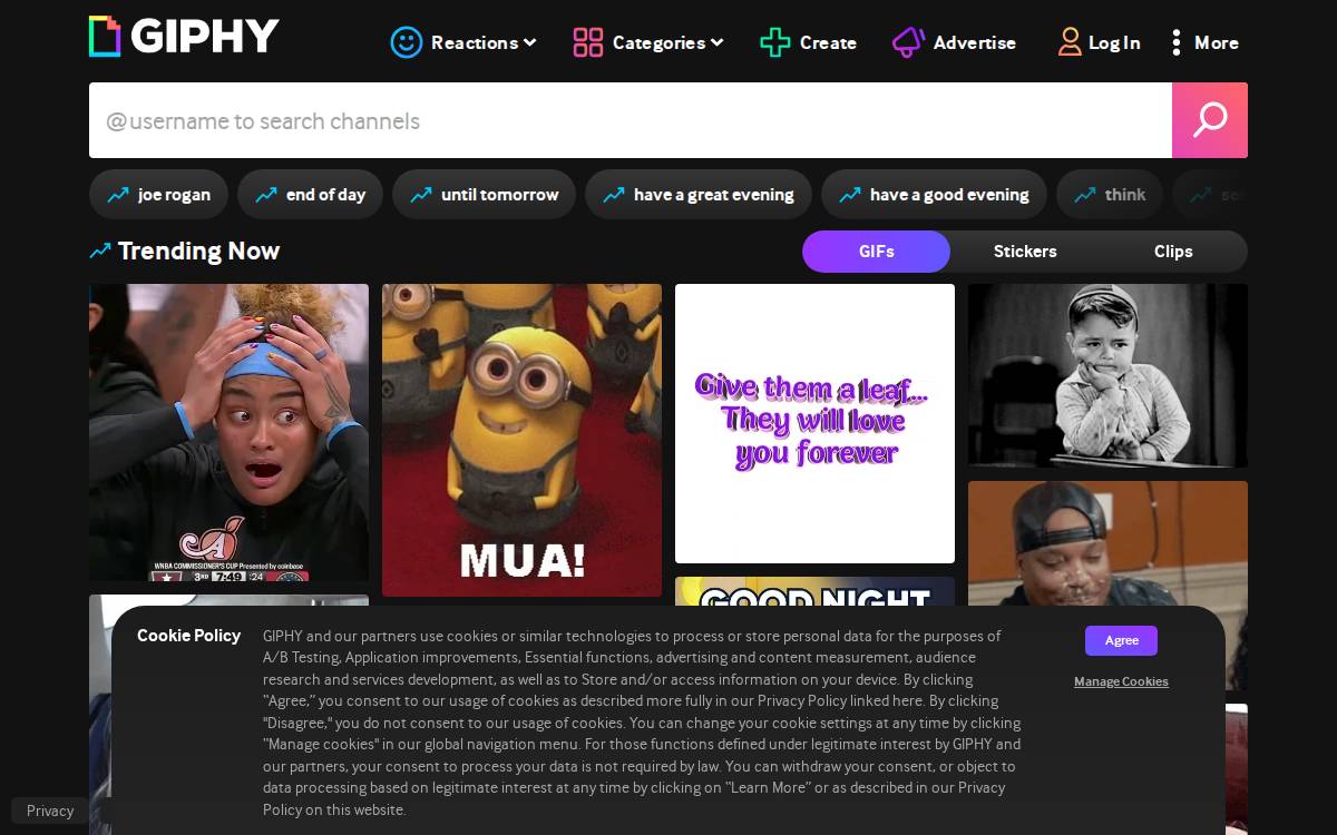 Giphy website preview