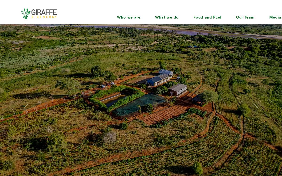 giraffe bioenergy website preview