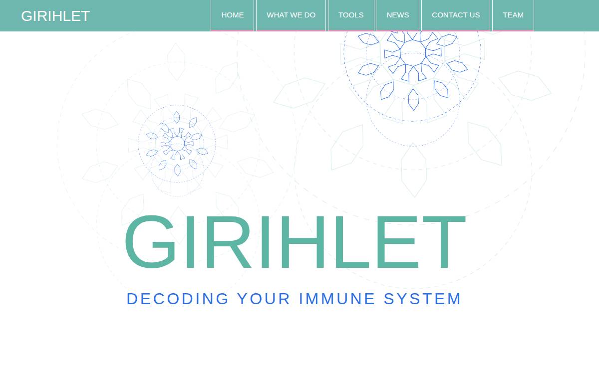Girihlet website preview