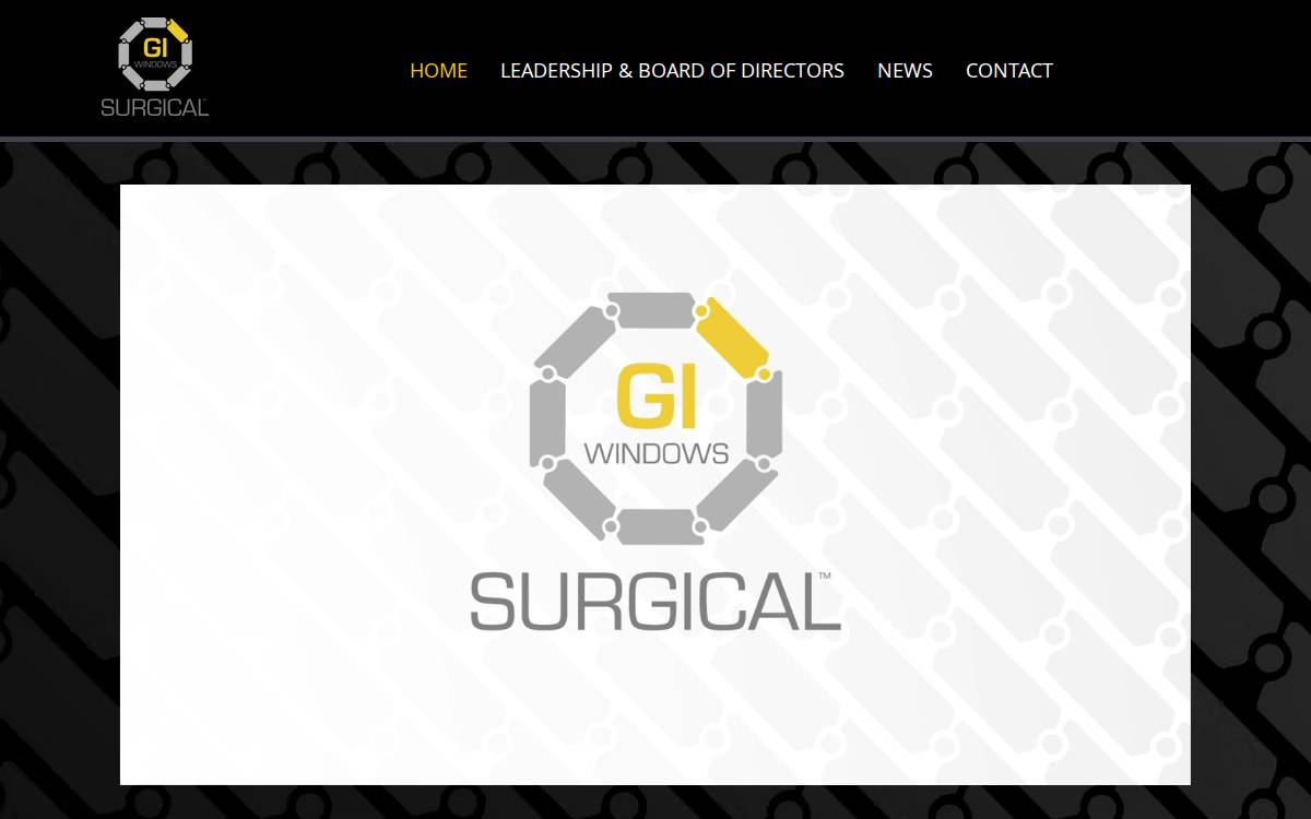 Giwindows website preview