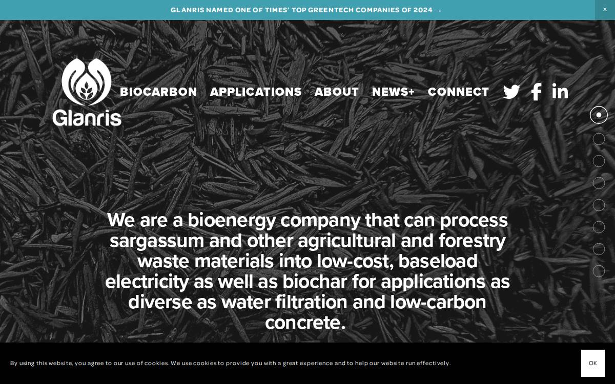 Glanris website preview