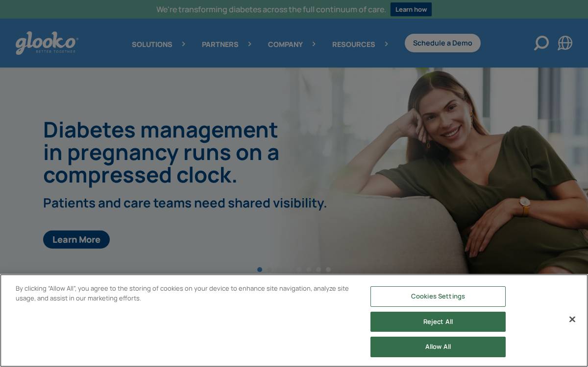 Glooko website preview