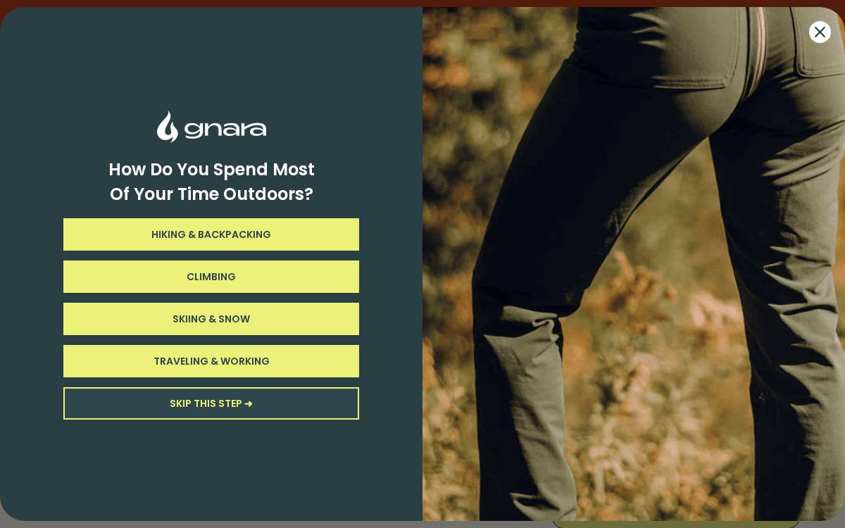Gnara website preview