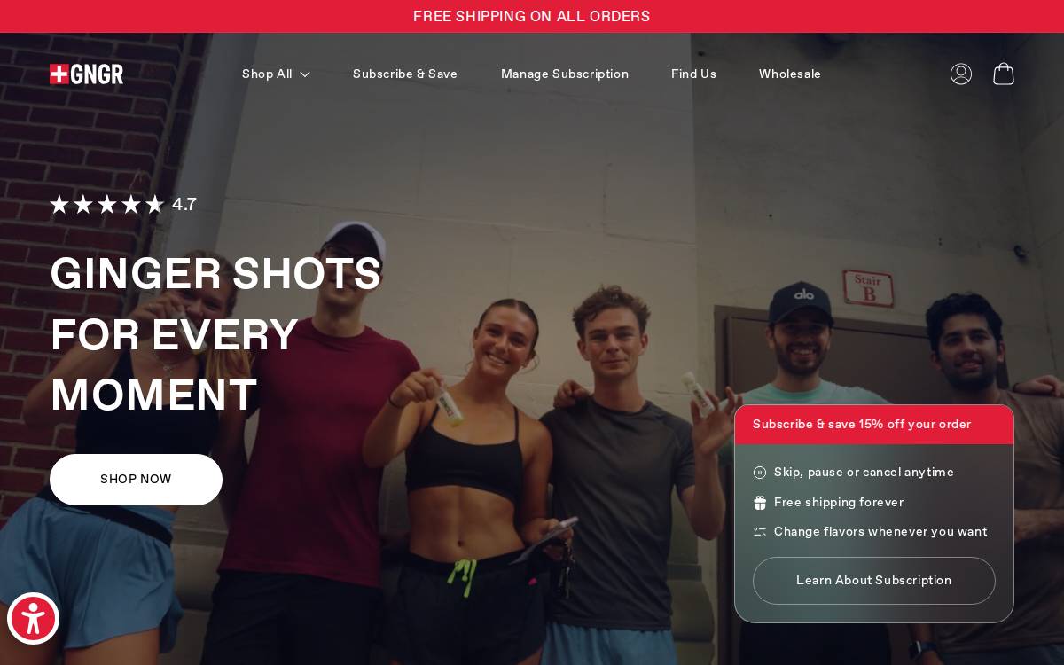 GNGR LABS website preview