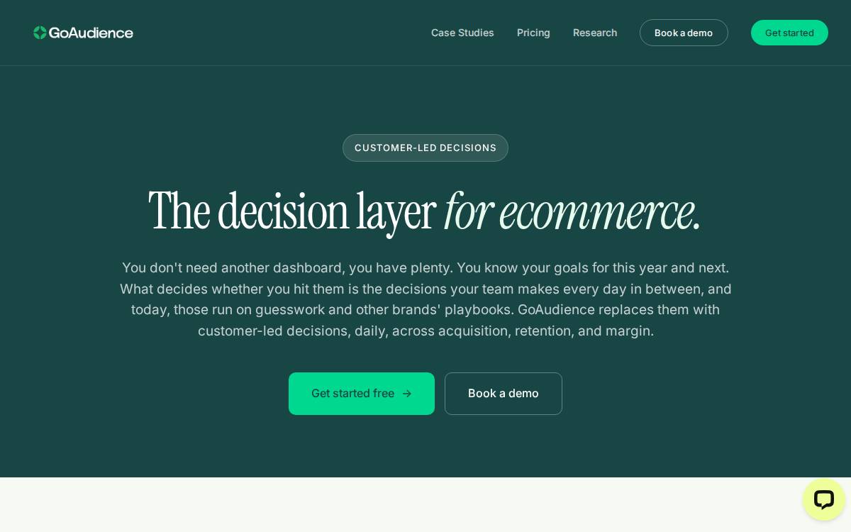 GoAudience website preview