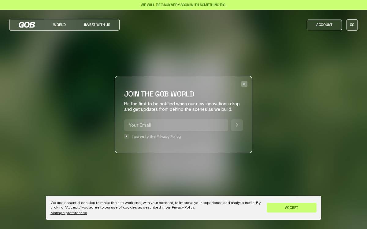 GOB website preview