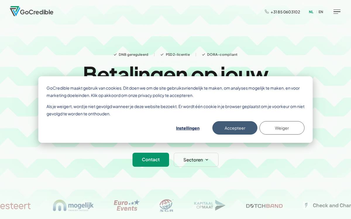 Gocredible website preview