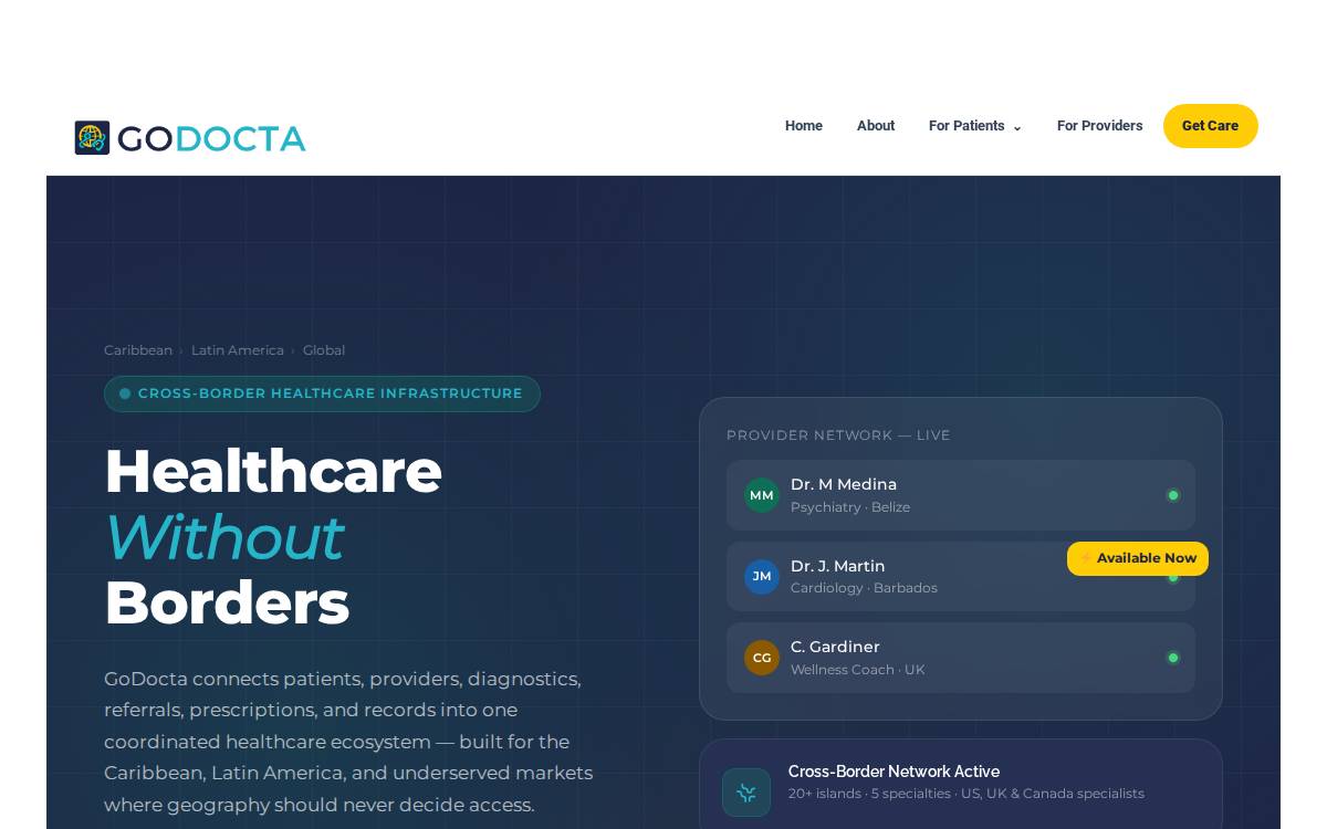 GoDocta website preview