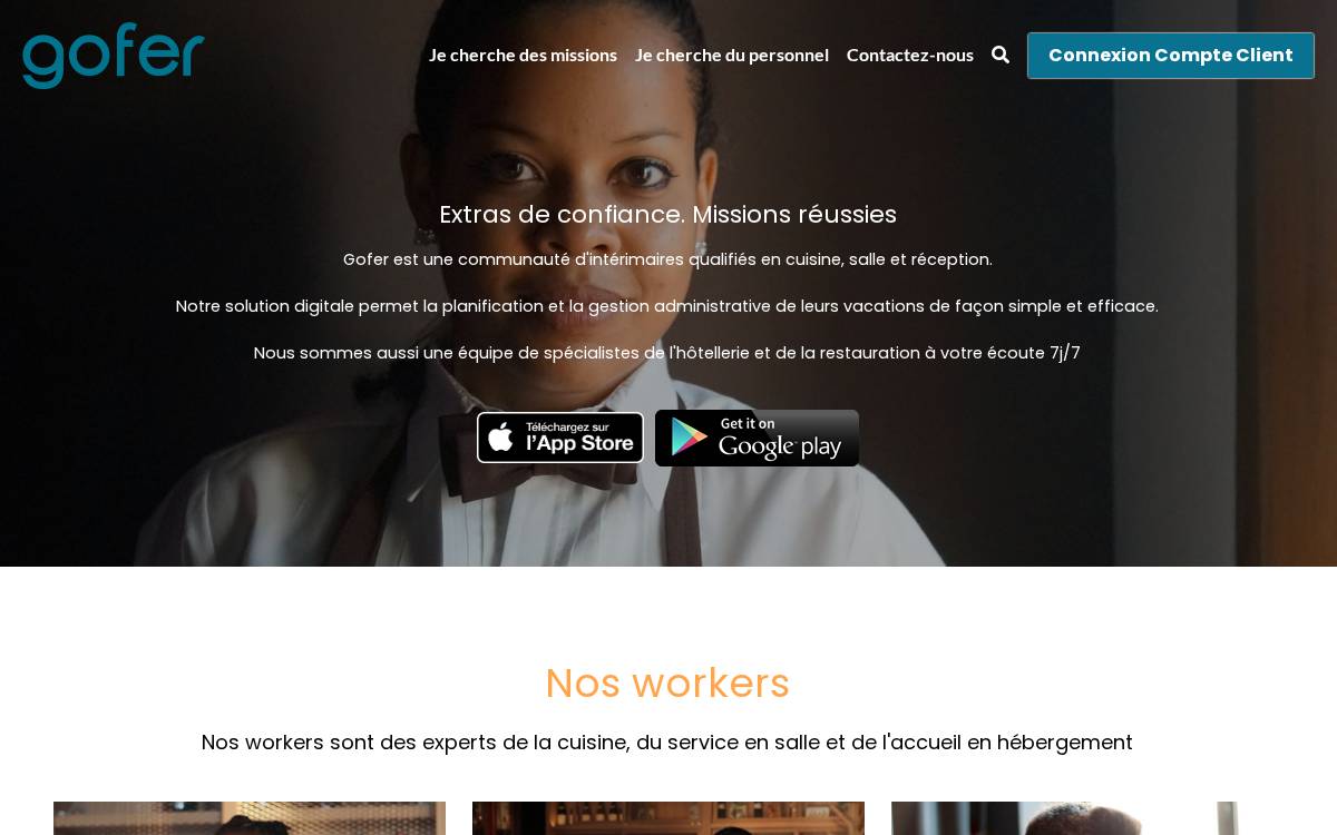 Gofer website preview