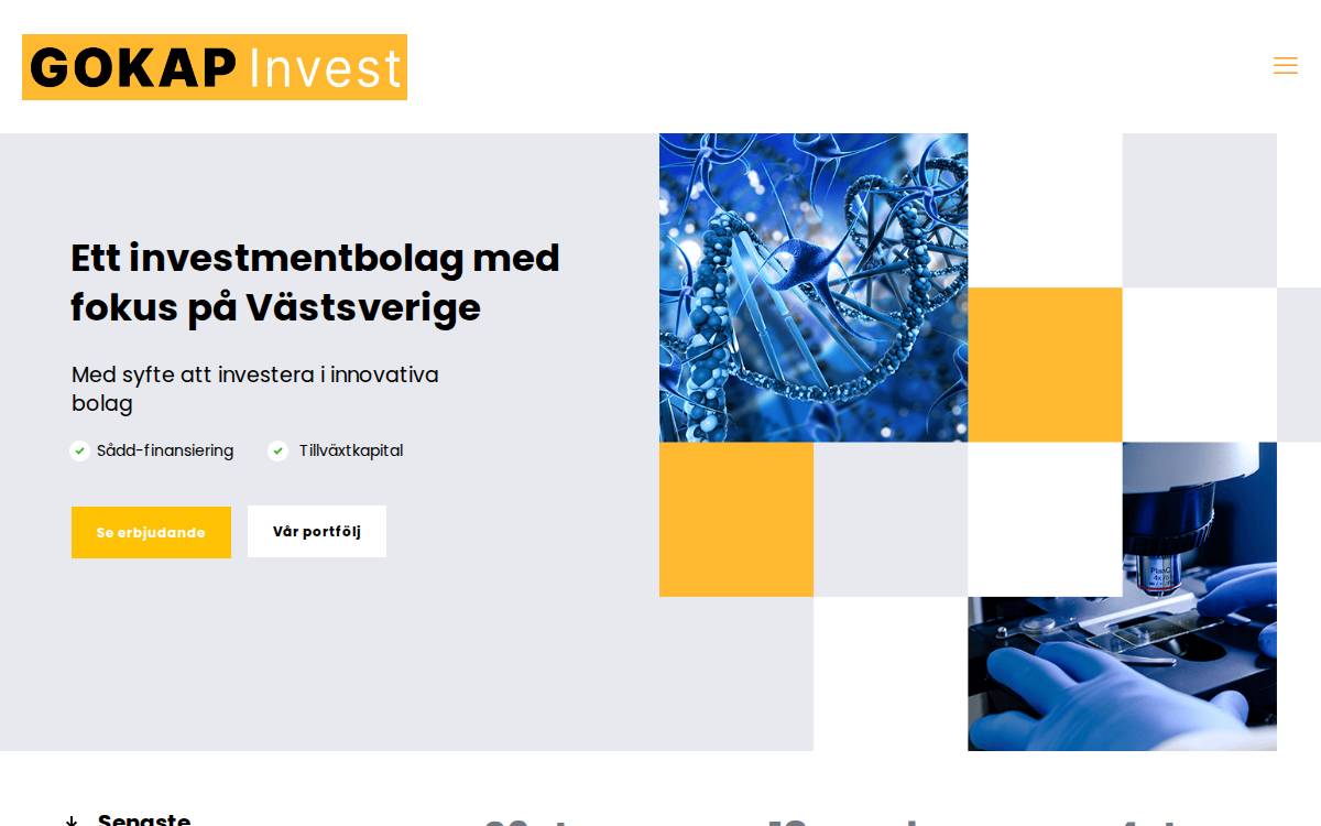 GOKAP Invest website preview