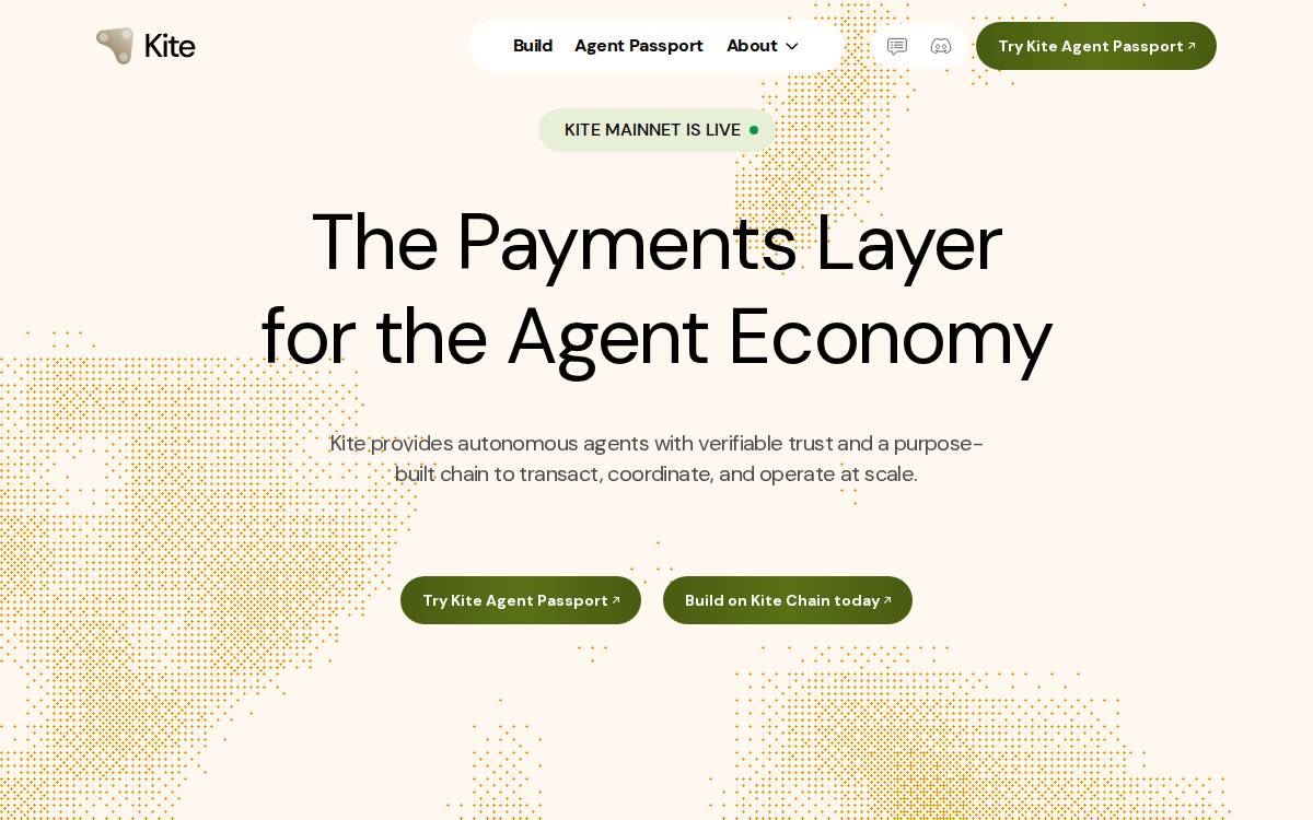 Gokite website preview