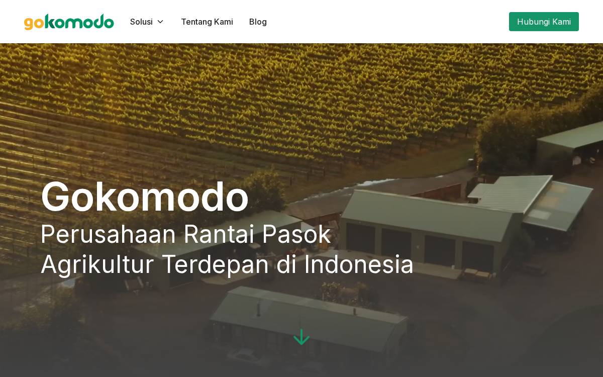 Gokomodo website preview