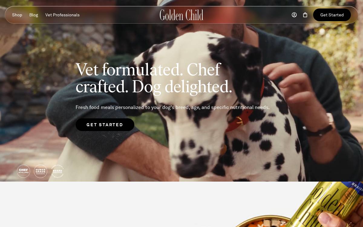 Golden Child website preview