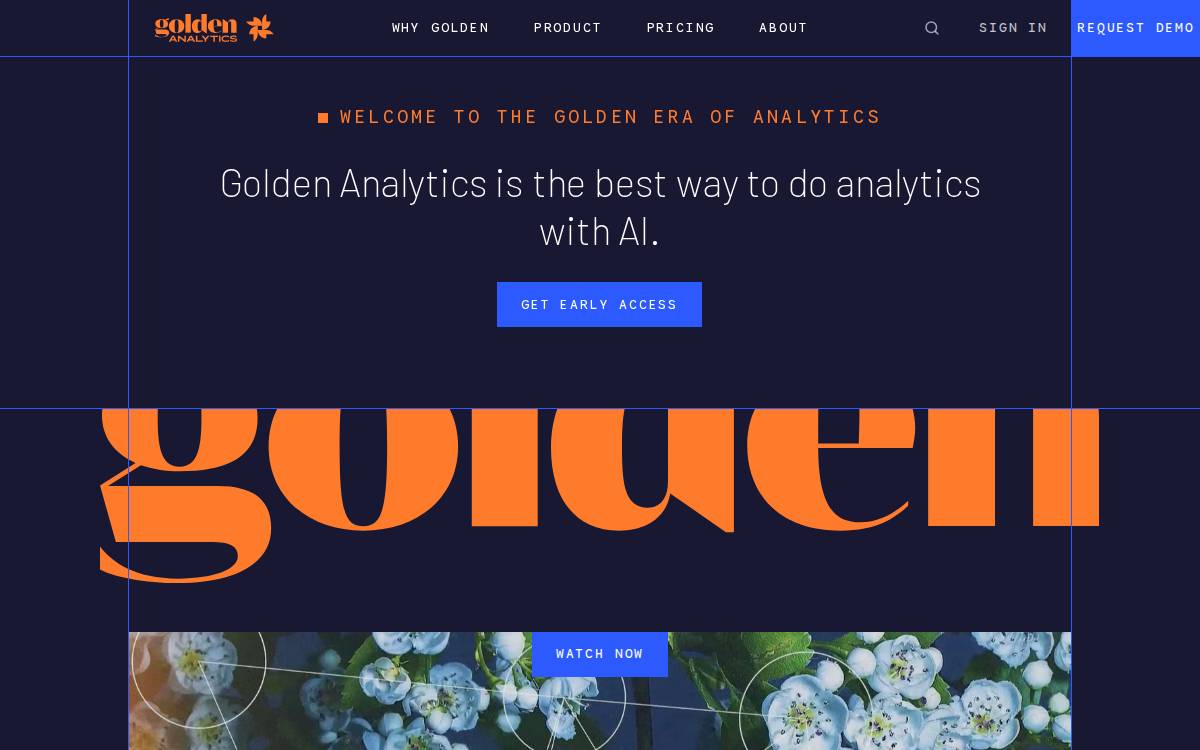 Golden Analytics website preview