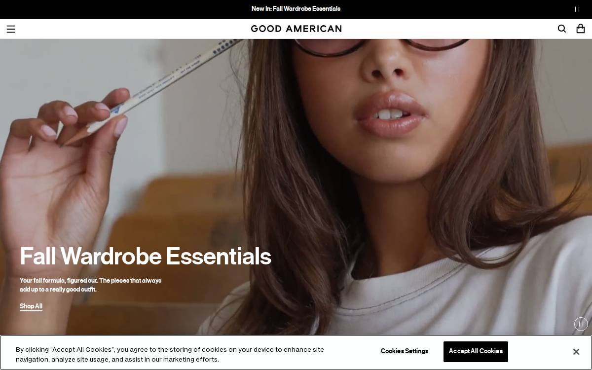 Good American website preview