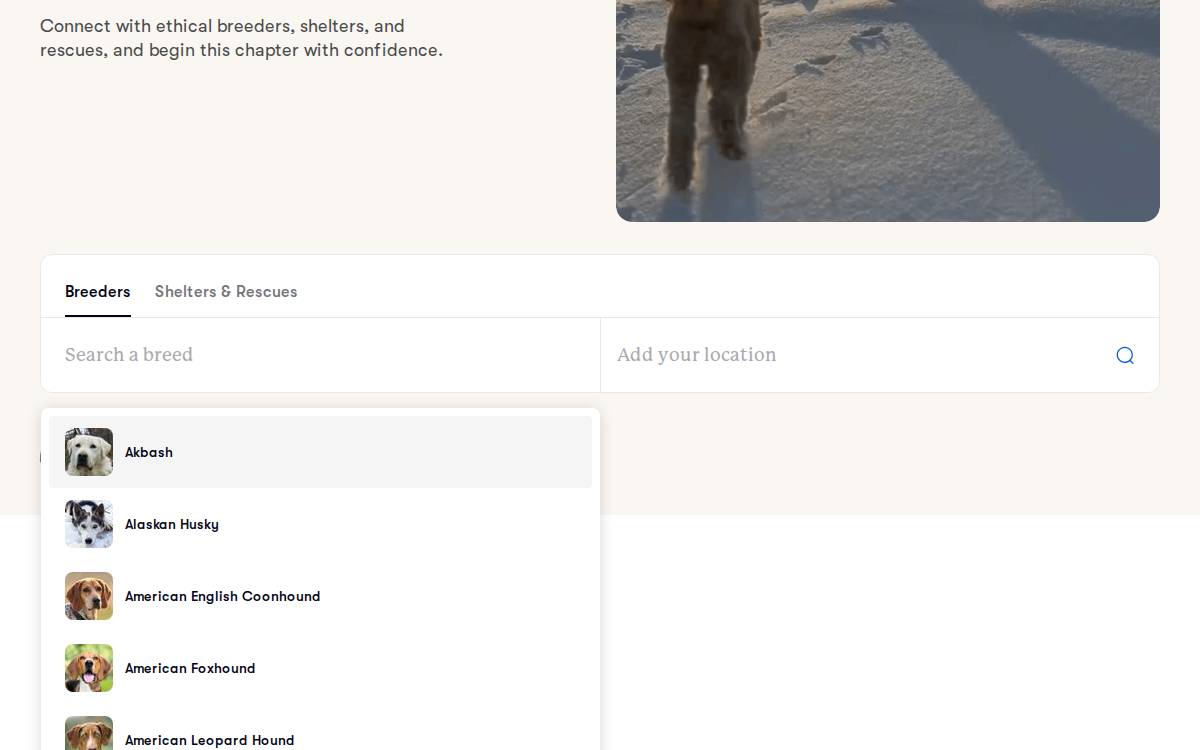 Good Dog website preview