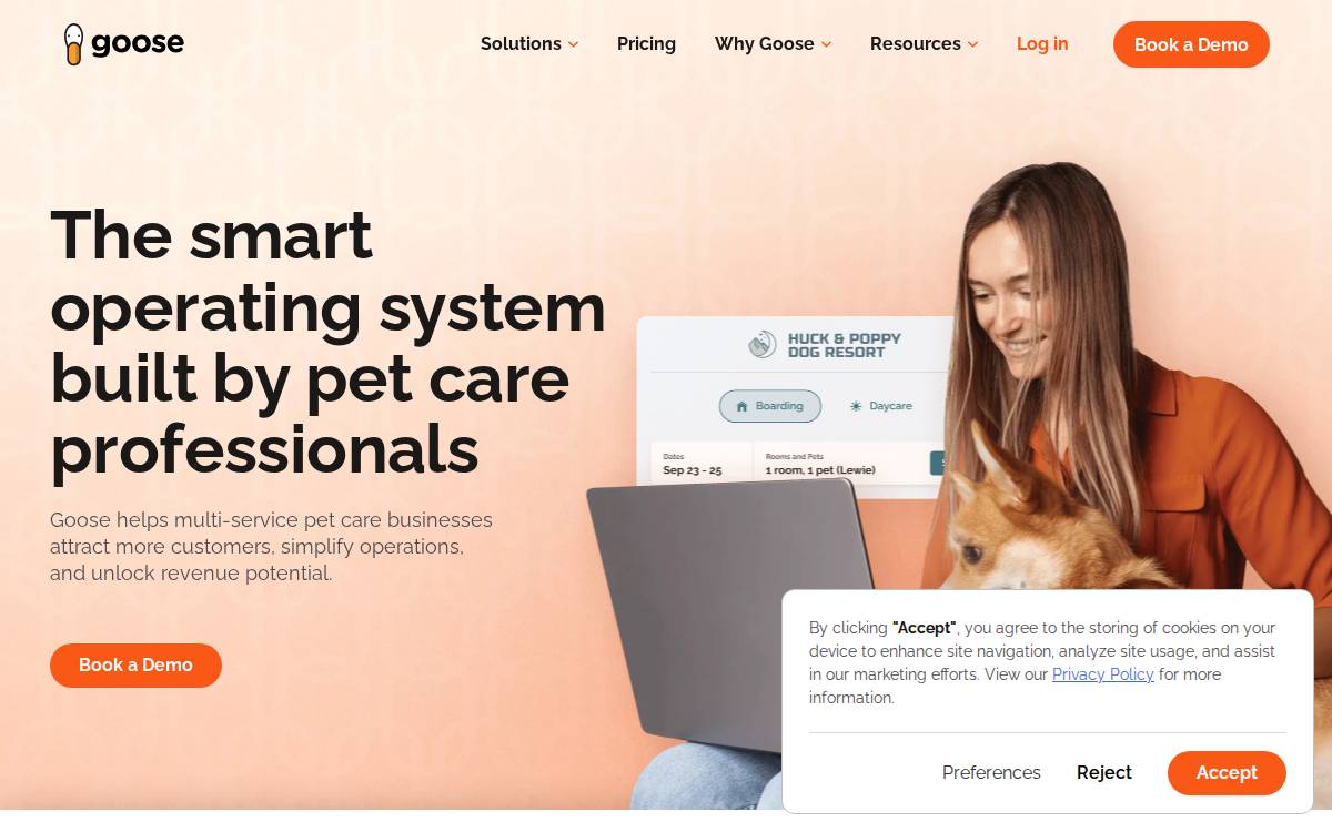 Goose website preview