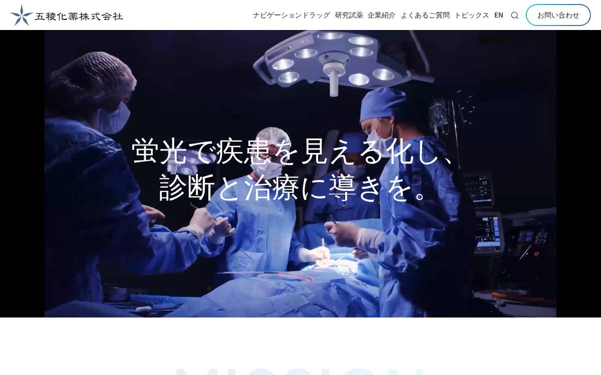 Goryo Chemical website preview
