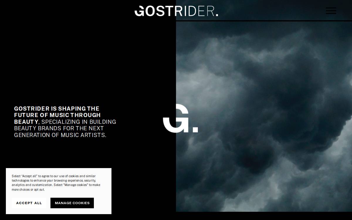 Gostrider website preview