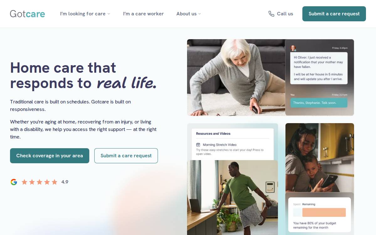 Gotcare website preview