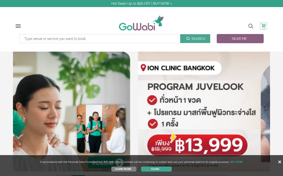Gowabi website preview