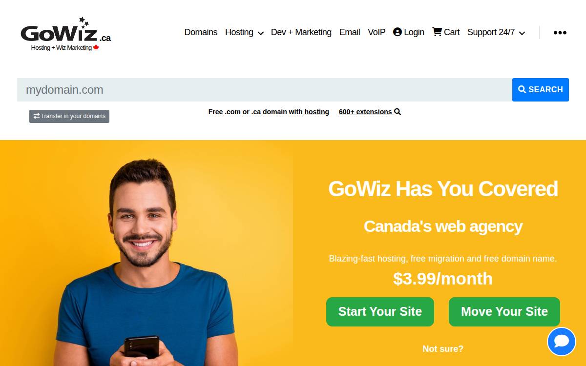GoWiz website preview