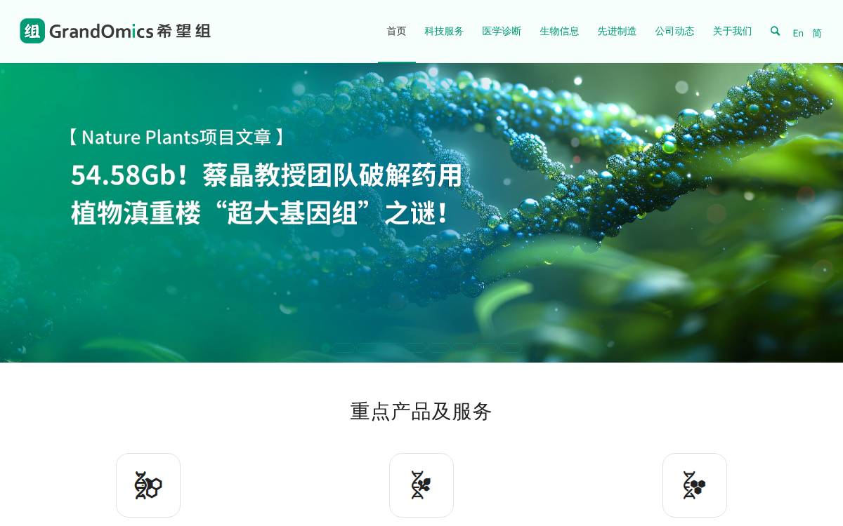 Grandomics website preview
