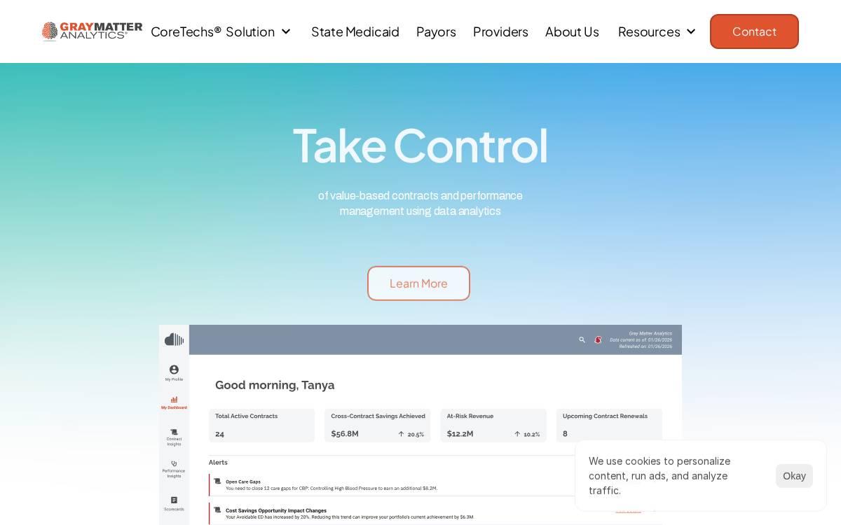 Gray Matter Analytics website preview