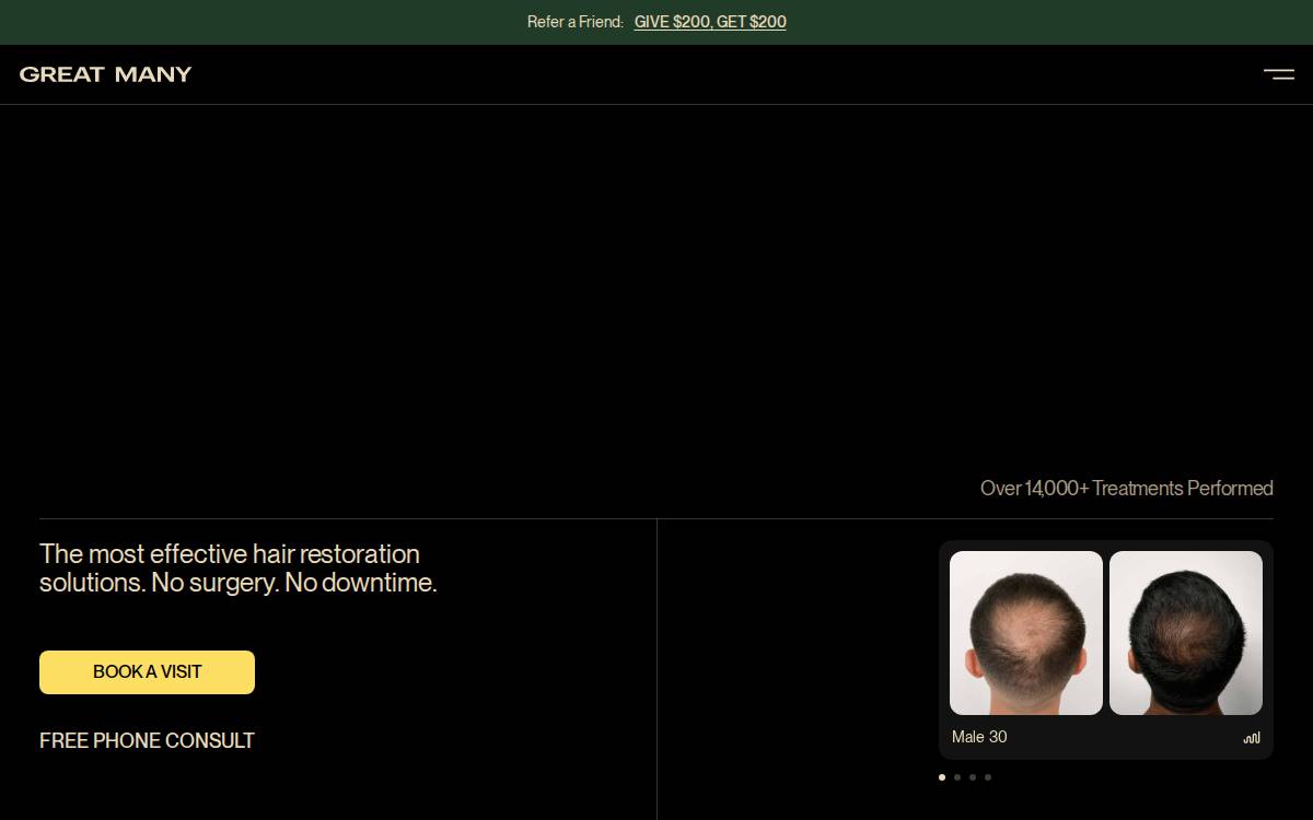 GREAT MANY website preview