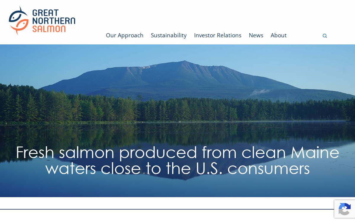 Great Northern Salmon website preview