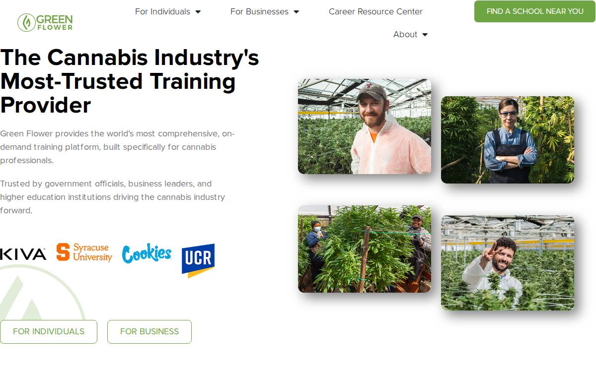 Green Flower website preview