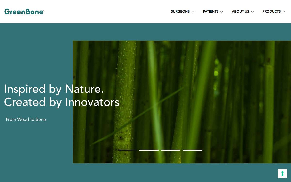 Greenbone website preview