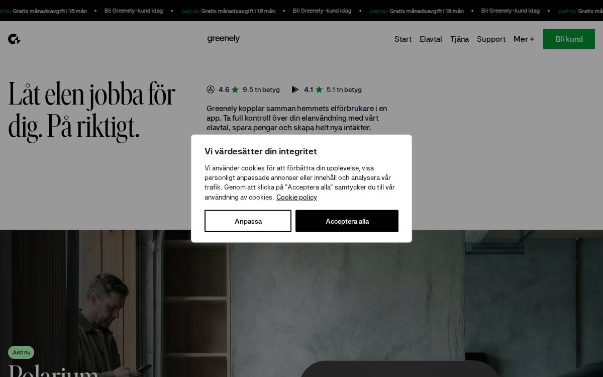 Greenely website preview