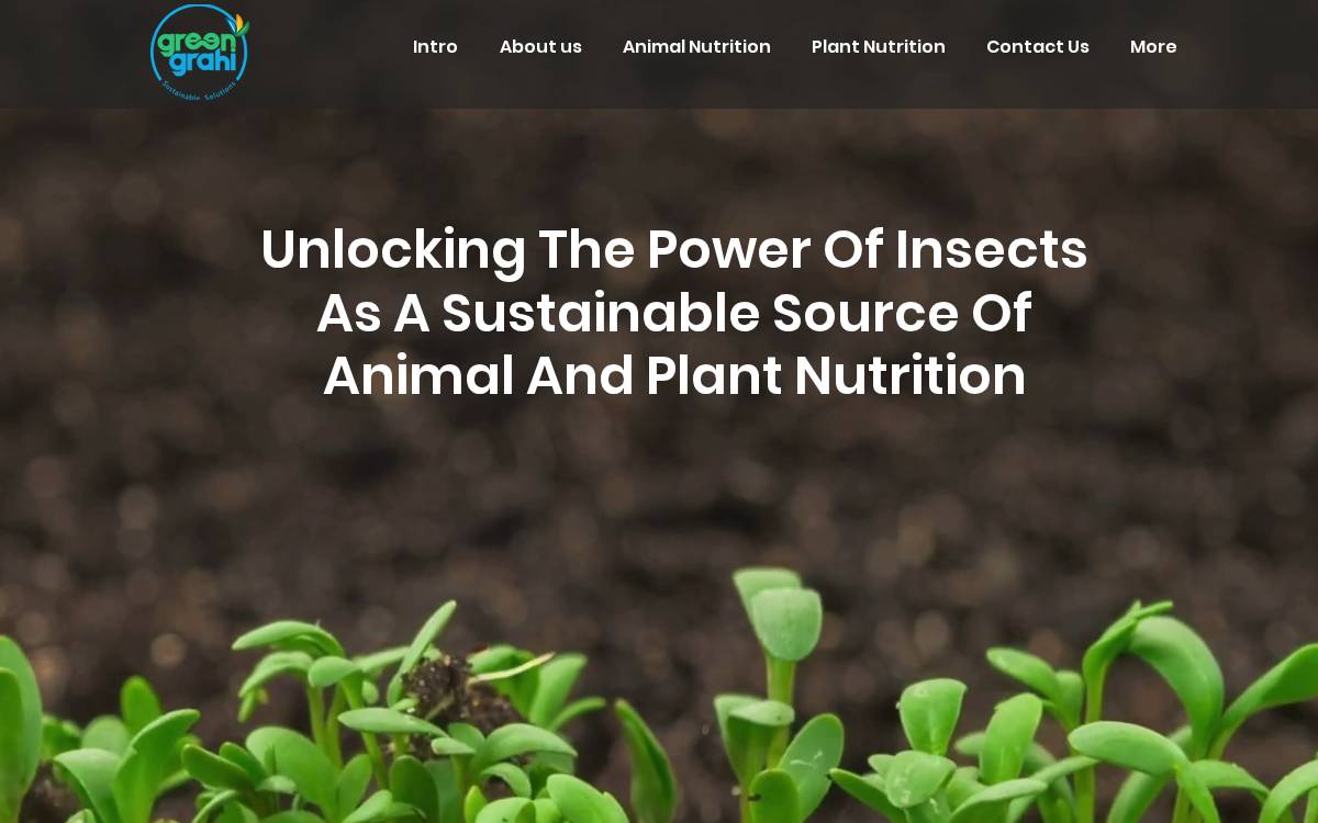 Green Grahi website preview
