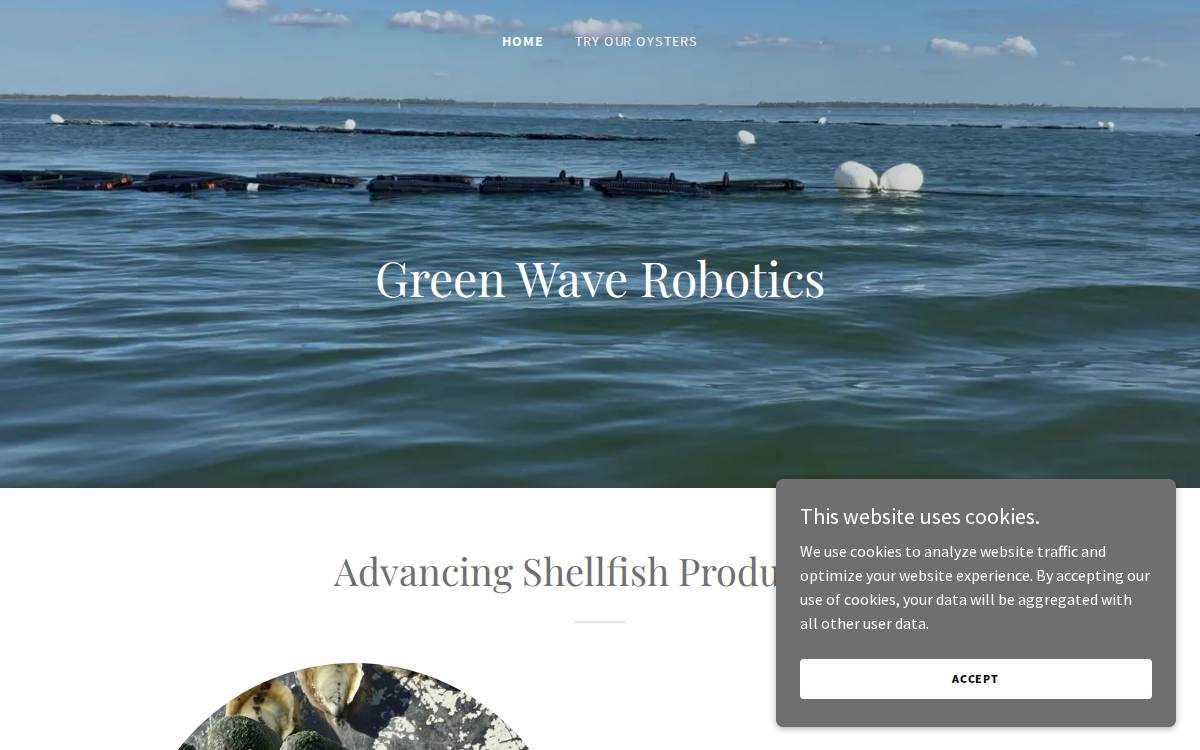 Green Wave Robotics website preview