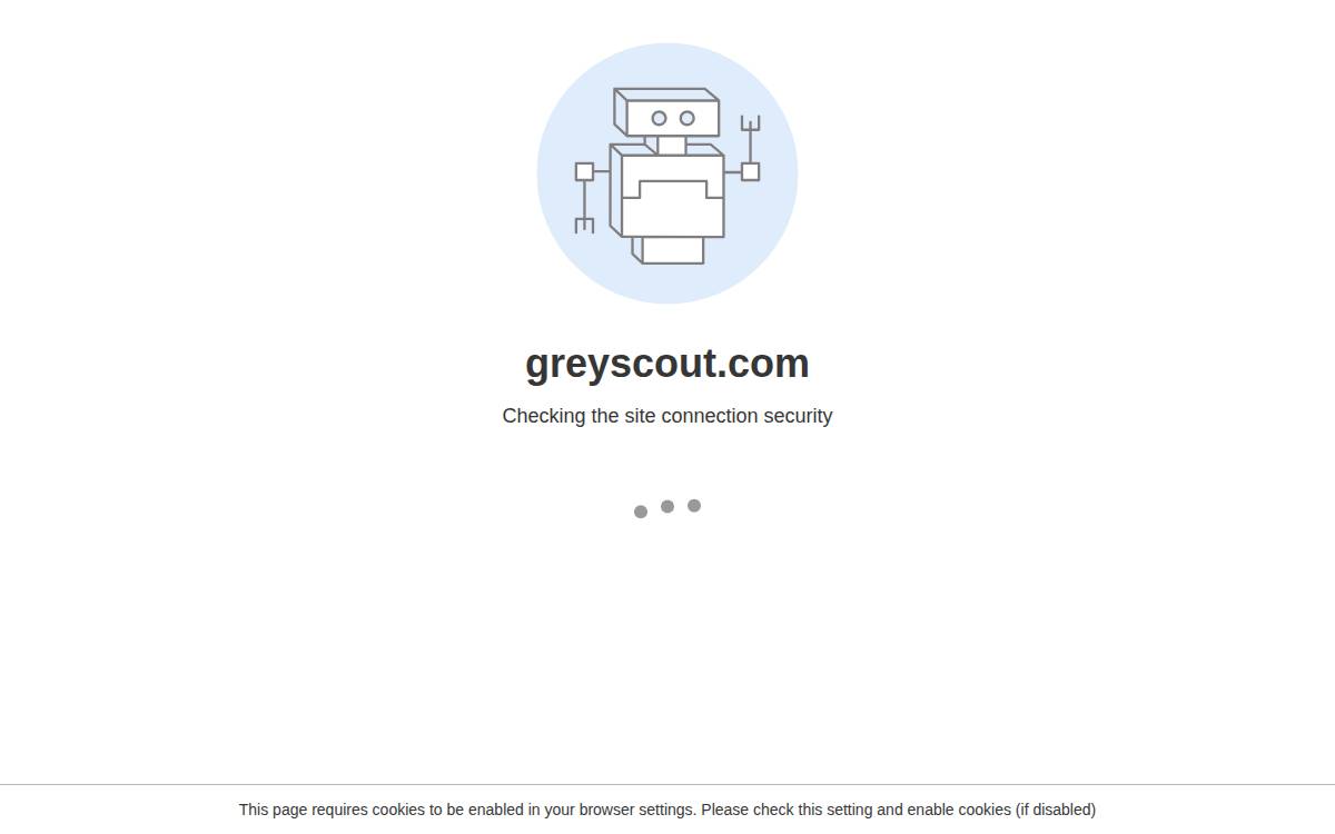 Greyscout website preview