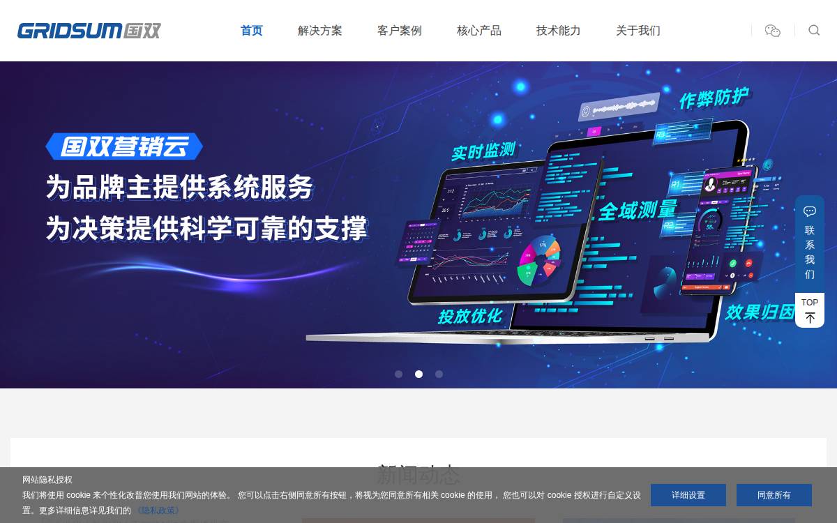Gridsum website preview