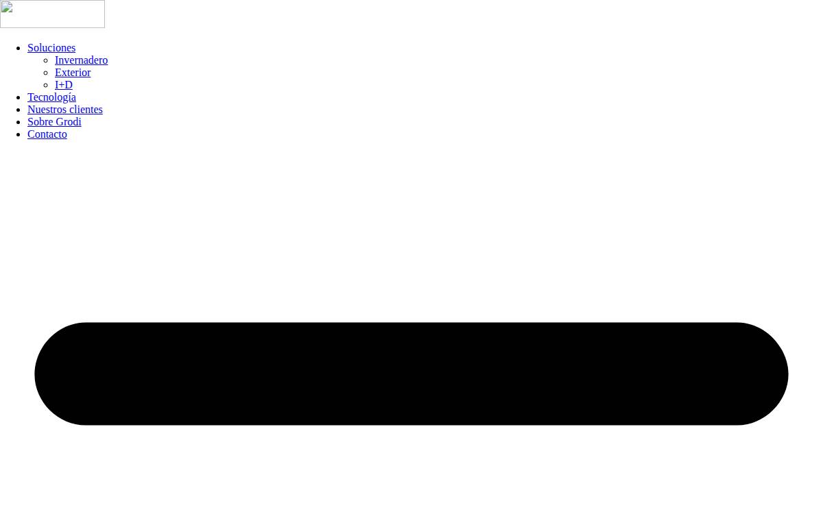 Groditech website preview