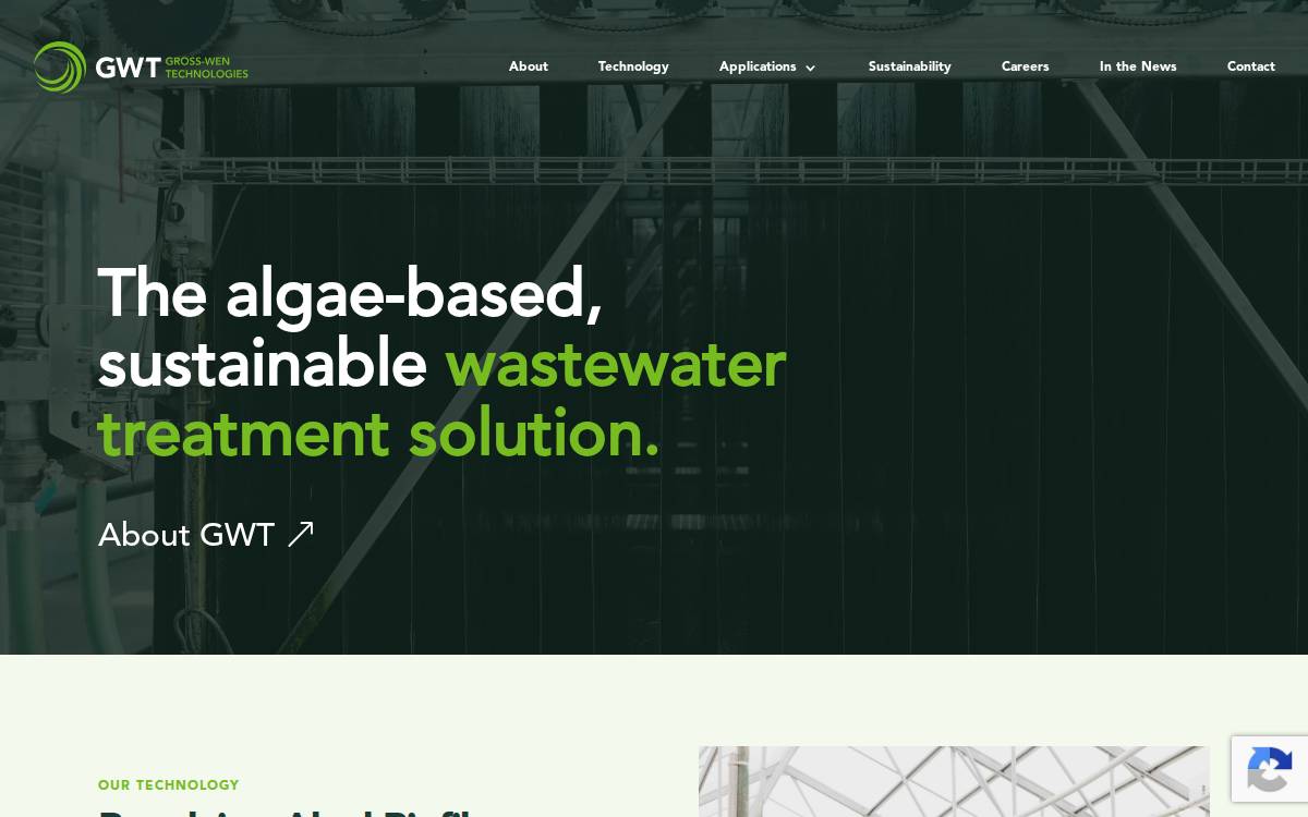 Gross-Wen Technologies website preview