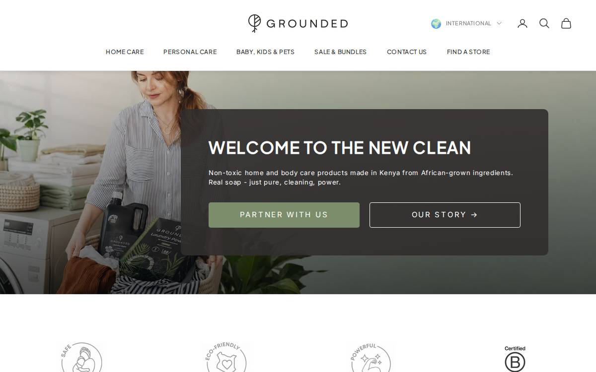 Grounded website preview