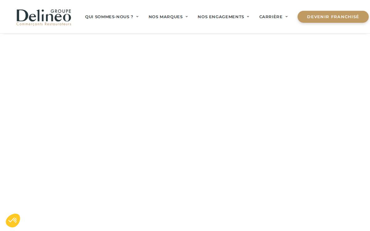 Groupe Delineo website preview