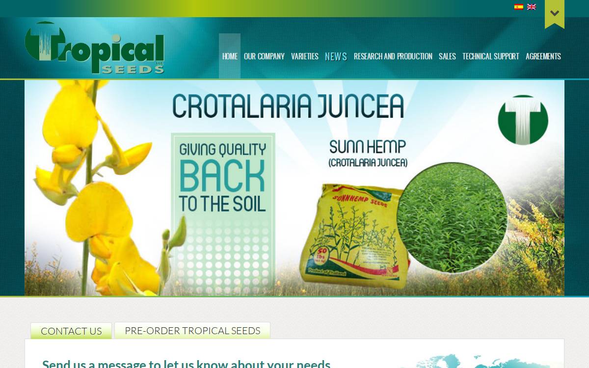 Grupo Papalotla website preview