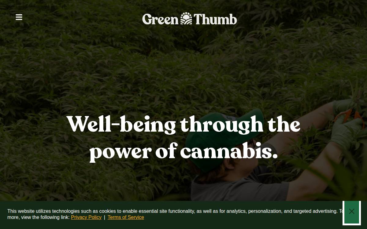 Gtigrows website preview