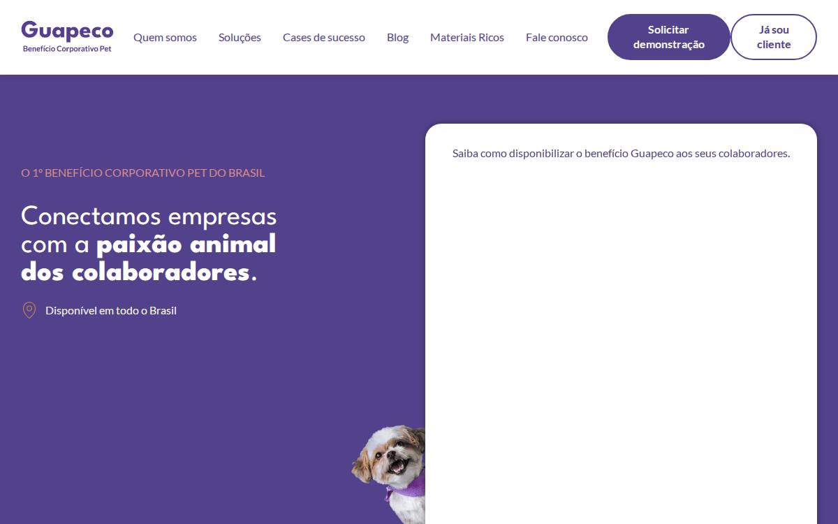Guapeco website preview