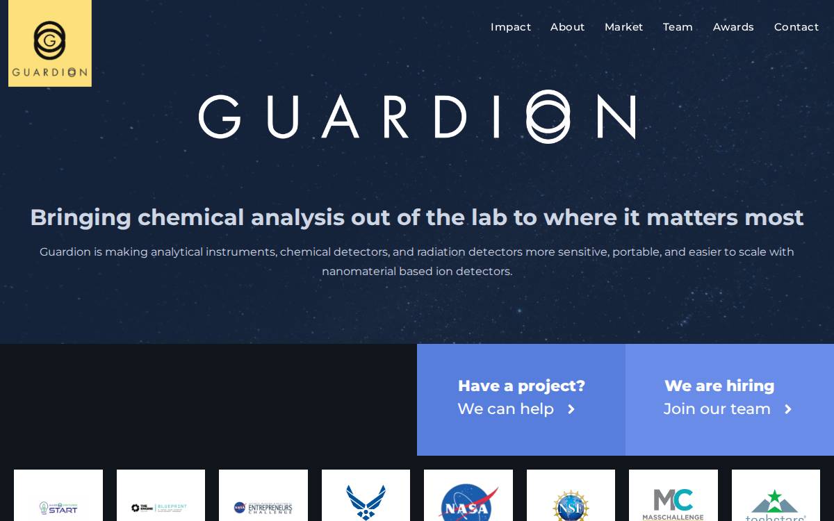 Guardion website preview