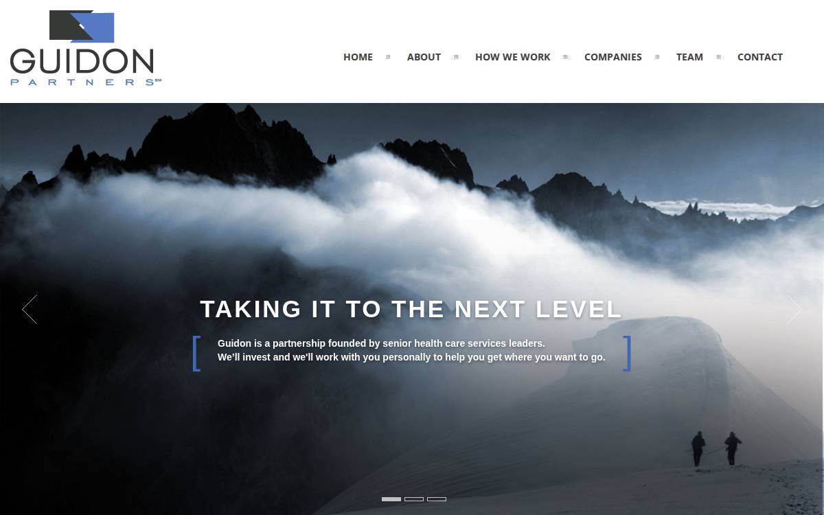 Guidon Partners website preview