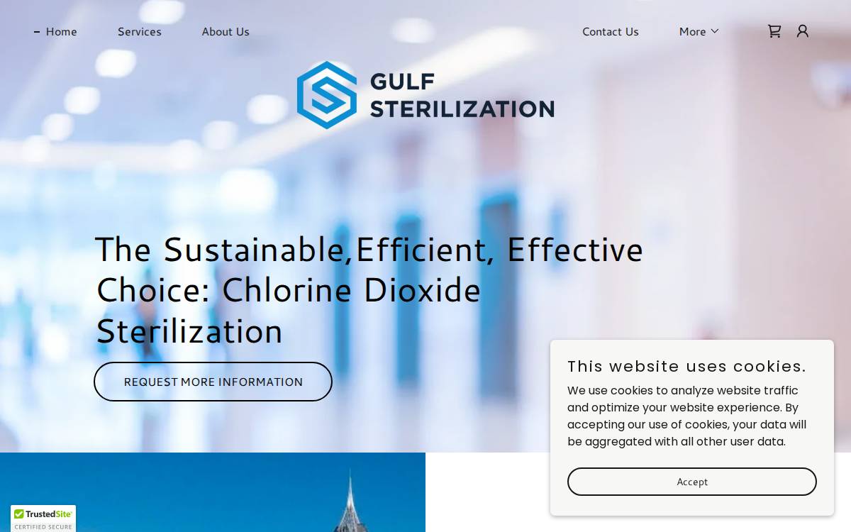 Gulf Sterilization website preview